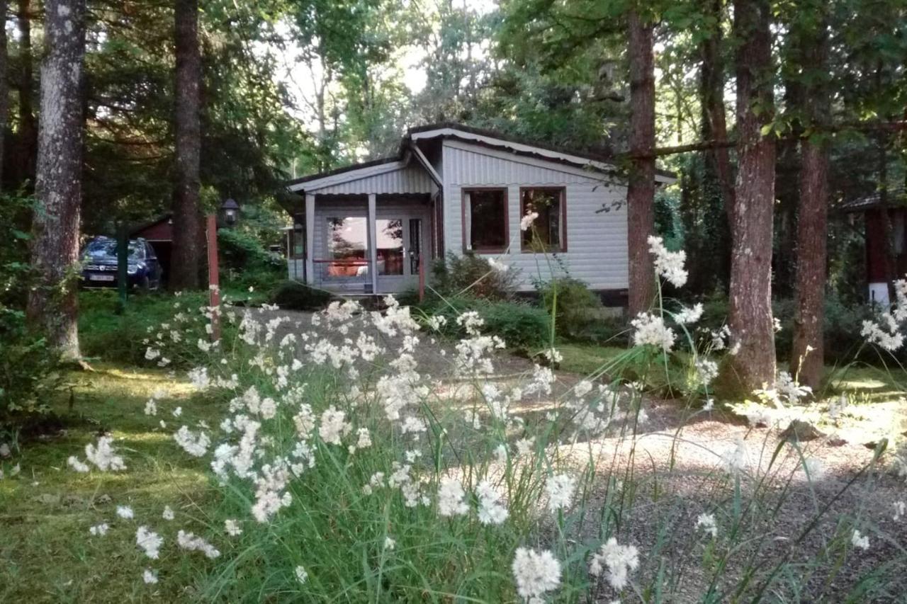Chalet Siesta Is Rust & Natuur In Durbuy - Barvaux-Sur-Ourthe Eksteriør bilde