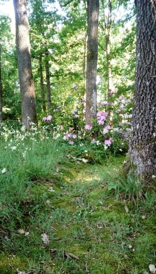 Chalet Siesta Is Rust & Natuur In Durbuy - Barvaux-Sur-Ourthe Eksteriør bilde